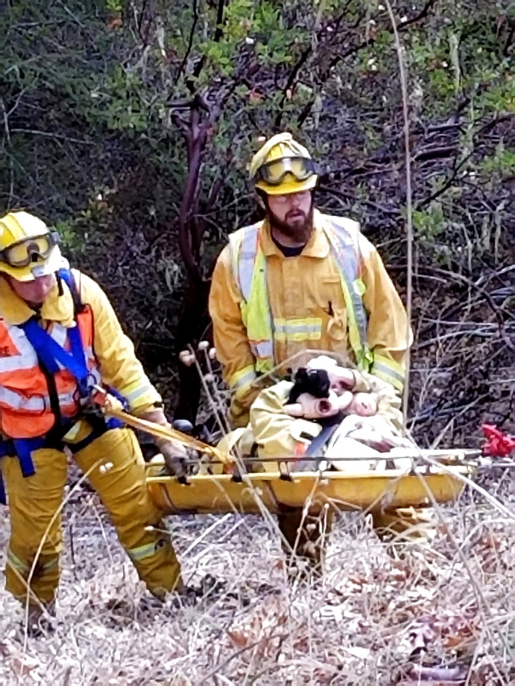 Laytonville firefighters participating in an outdoor emergency response training exercise.